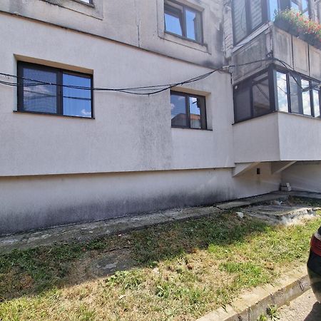 Apartament Iulius 4 Curtea de Argeş 外观 照片